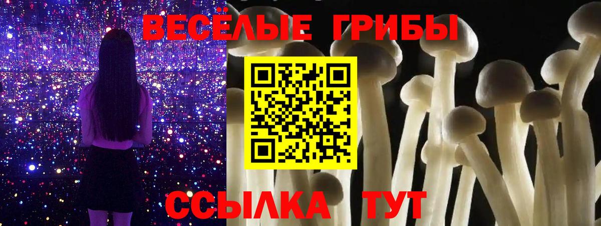 Псилоцибиновые грибы Magic Shrooms  Псилоцибиновые грибы прущие грибы  Вход с VPN  Ульяновск 